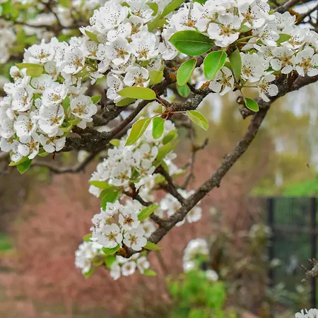 Feriehus Cozy In With View *