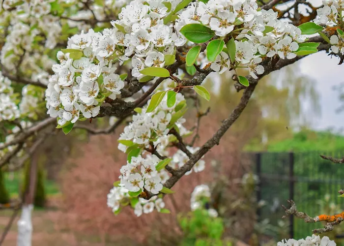 Dom wakacyjny Cozy In With View *